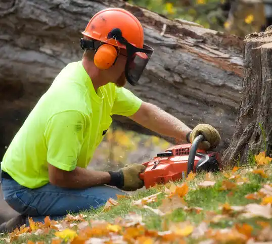 tree services Laurel Springs